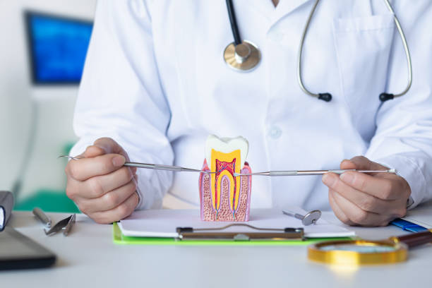 Best Emergency Dental Care for Sports Injuries in Alma, MI